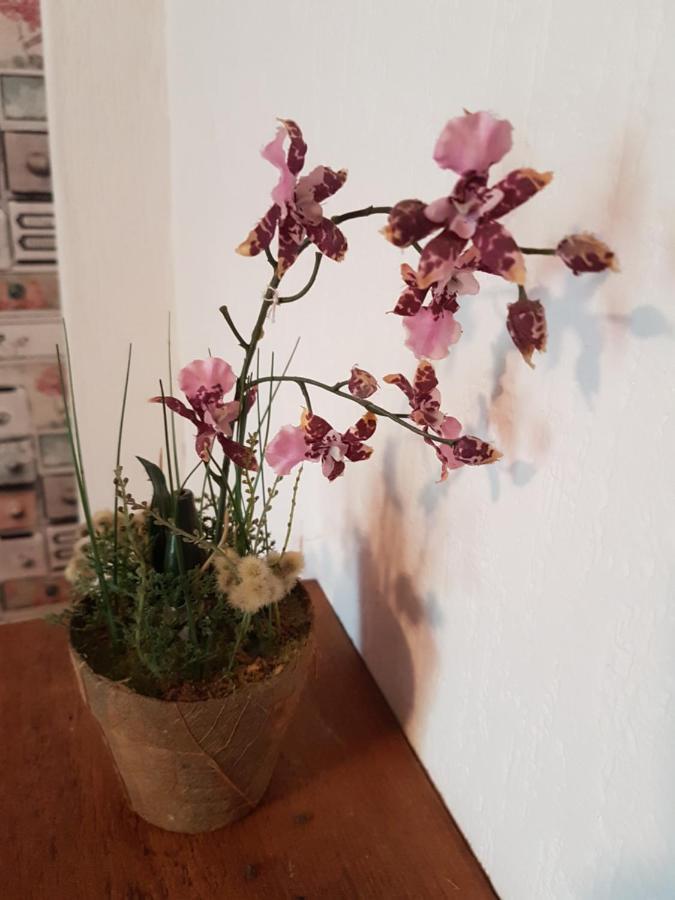 Armous-et-Cau Cudoille Bed & Breakfast エクステリア 写真